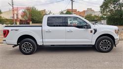 فۆرد F-150